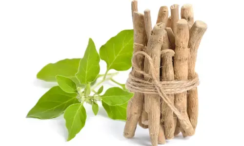Amla Extract